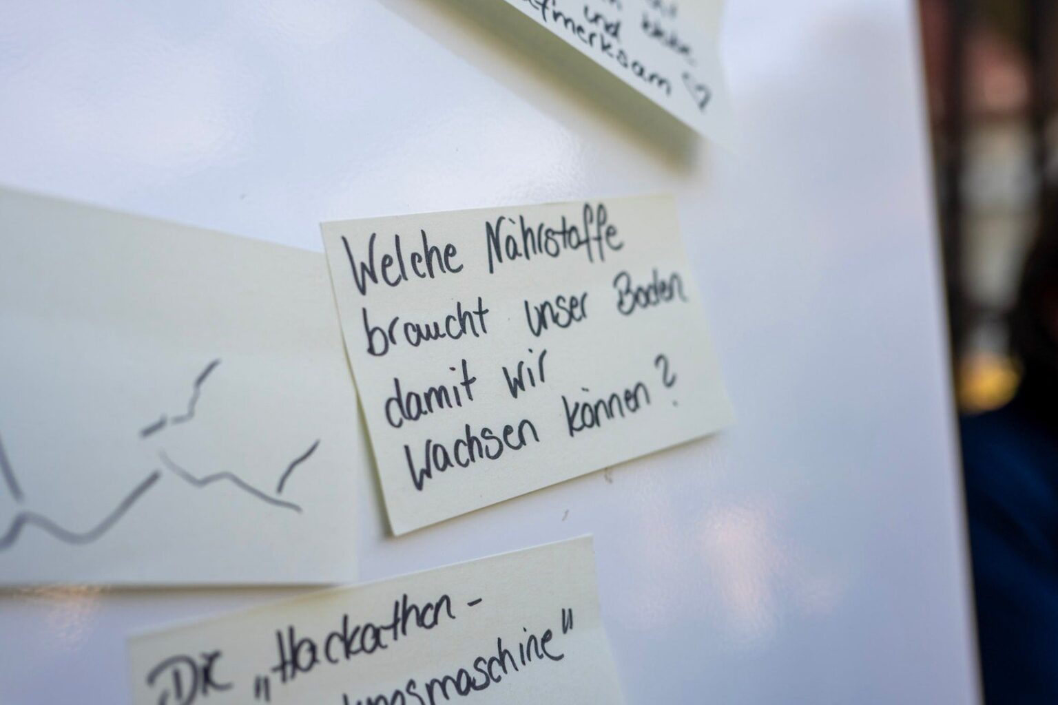 Ein Notizzettel am Flipchart mit der Frage: Welche Nährstoffe braucht unser Boden, damit wir wachsen können?